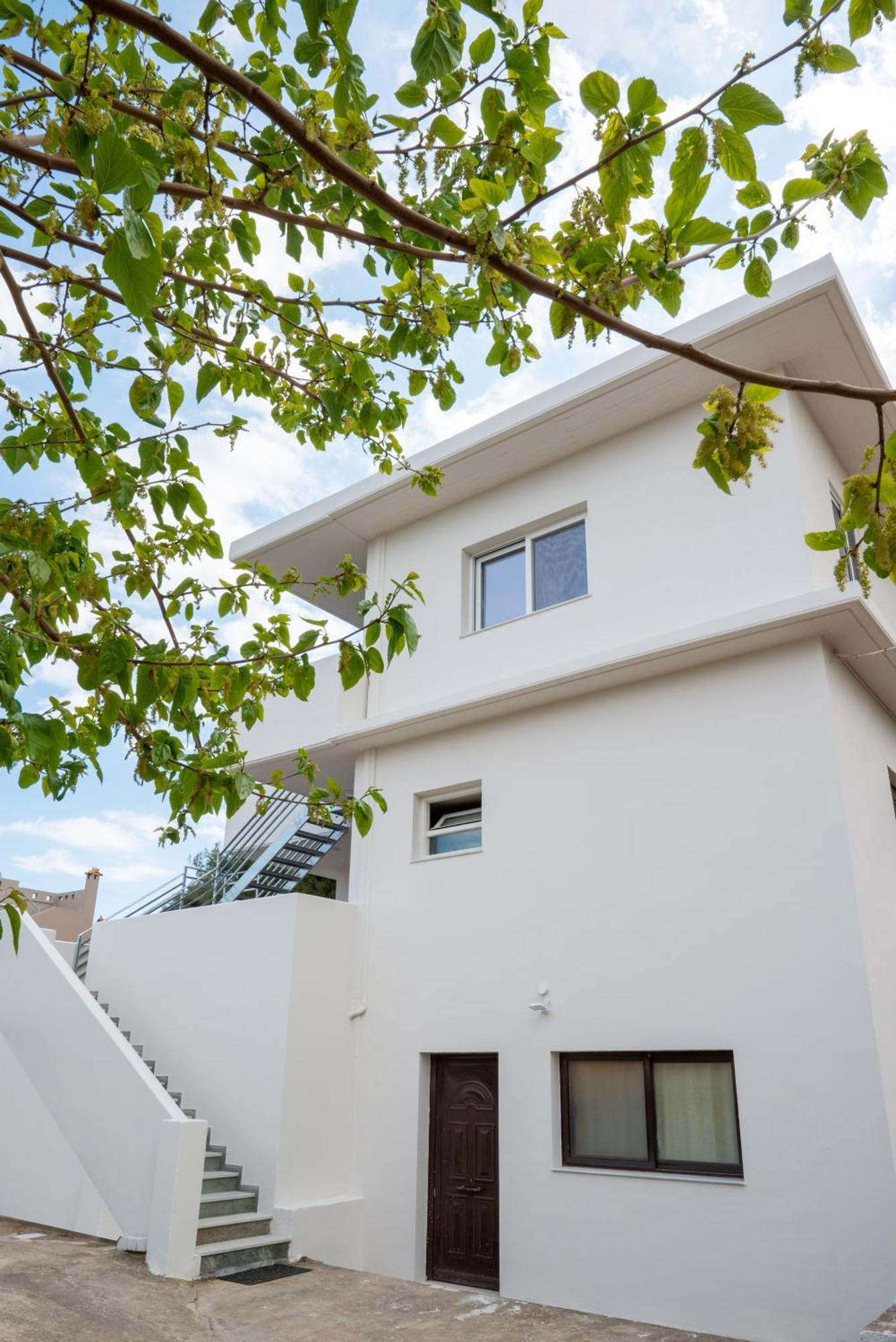 Airport Palmtree - 15min From Airport